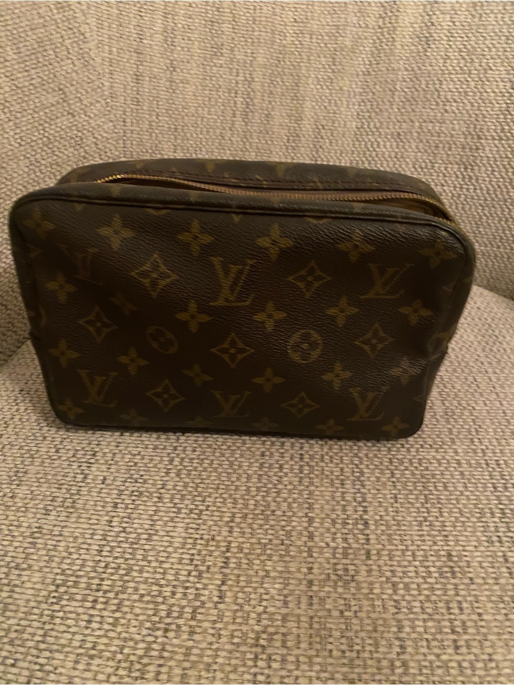 Louis Vuitton Monogram Canvas Toiletry Pouch in Brown